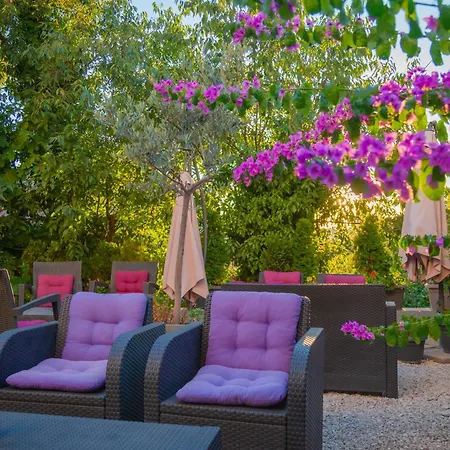 Captain Emo Пула