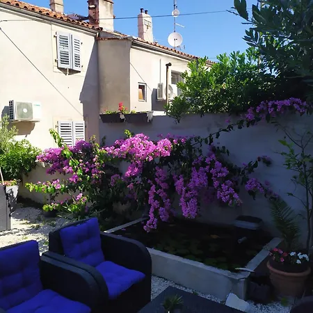 Captain Emo Apartman Póla